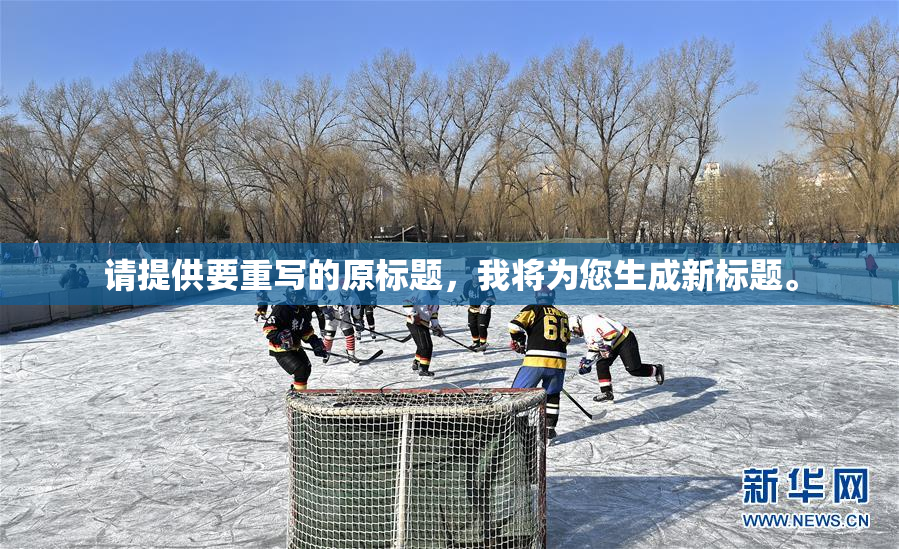 请提供要重写的原标题，我将为您生成新标题。