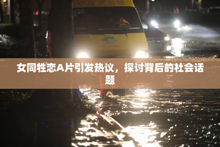 女同牲恋A片引发热议，探讨背后的社会话题