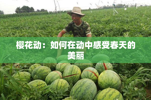樱花动：如何在动中感受春天的美丽