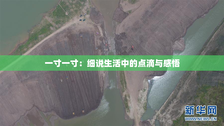 一寸一寸：细说生活中的点滴与感悟