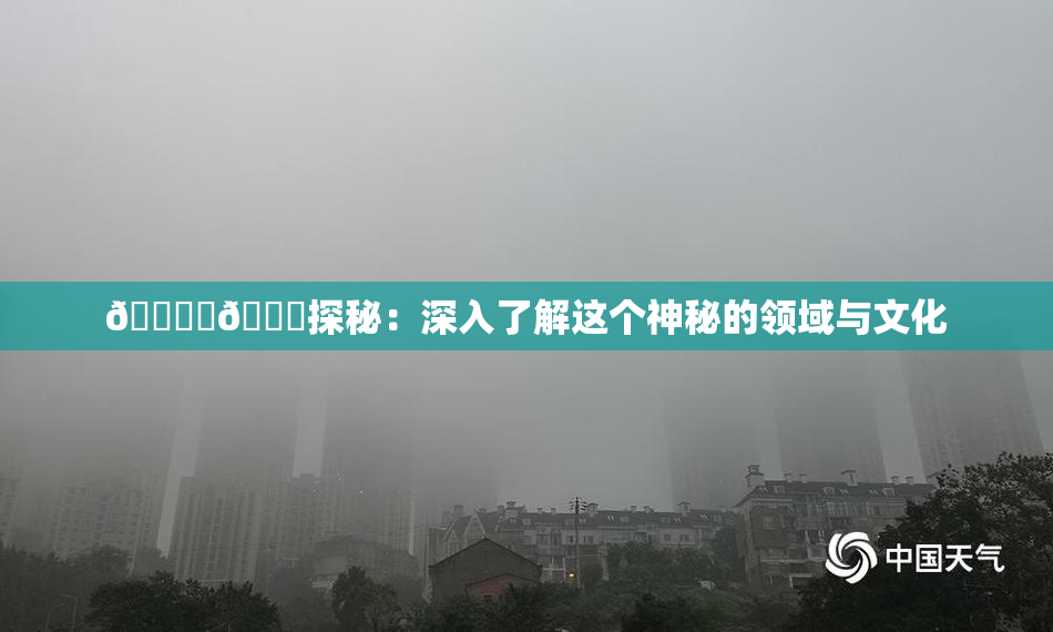 🔞‌🍌探秘：深入了解这个神秘的领域与文化