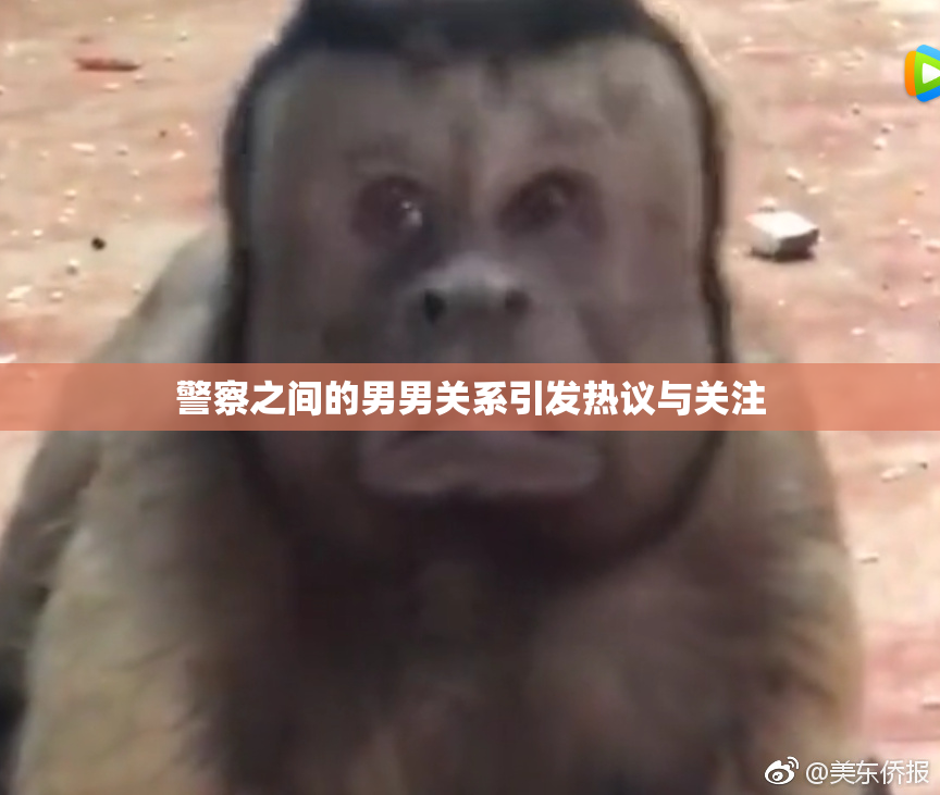 警察之间的男男关系引发热议与关注