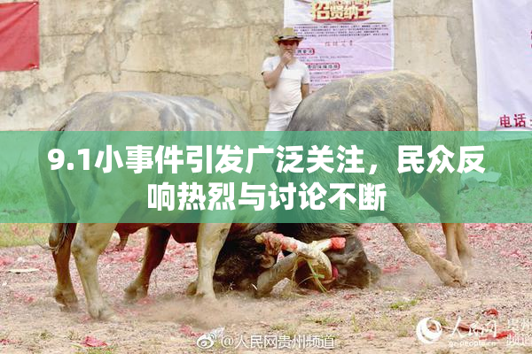 9.1小事件引发广泛关注，民众反响热烈与讨论不断