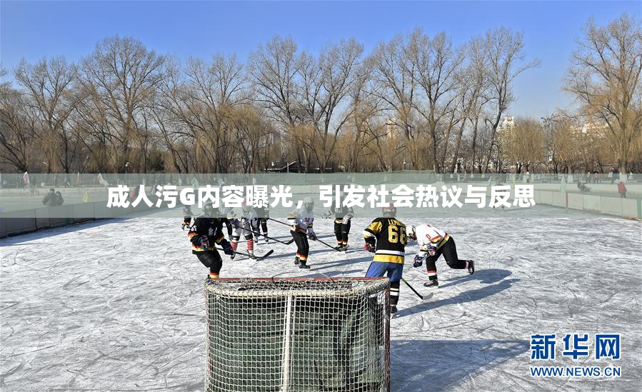成人污G内容曝光，引发社会热议与反思