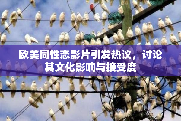 欧美同性恋影片引发热议，讨论其文化影响与接受度