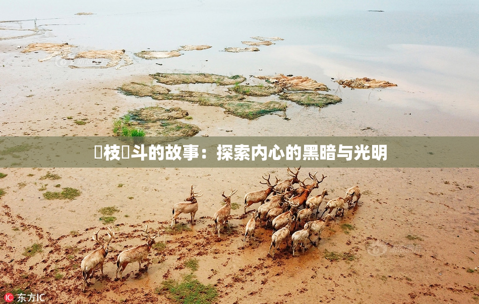 狛枝凪斗的故事：探索内心的黑暗与光明