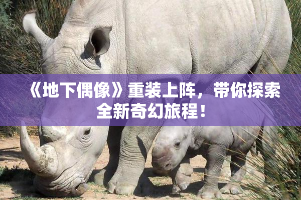 《地下偶像》重装上阵，带你探索全新奇幻旅程！