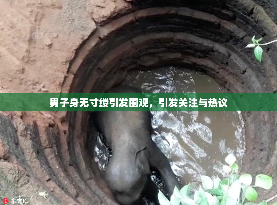 男子身无寸缕引发围观，引发关注与热议