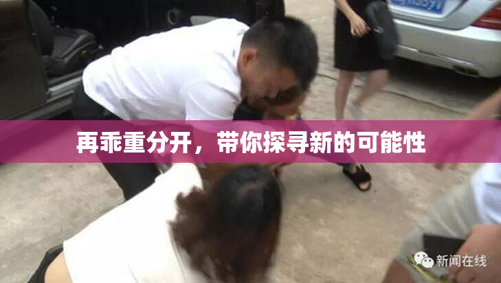 再乖重分开，带你探寻新的可能性