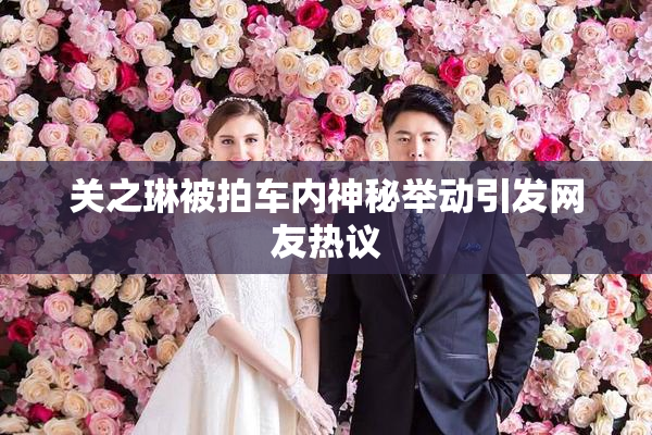 关之琳被拍车内神秘举动引发网友热议