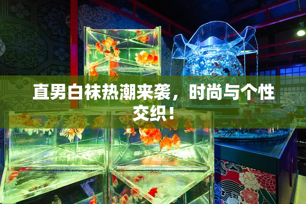 直男白袜热潮来袭，时尚与个性交织！