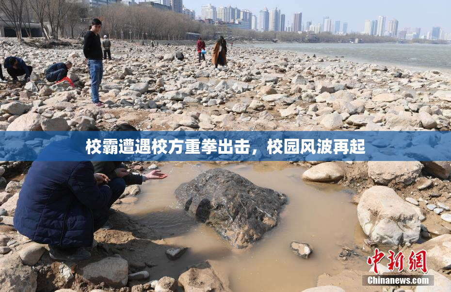 校霸遭遇校方重拳出击，校园风波再起