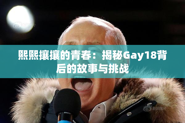 熙熙攘攘的青春：揭秘Gay18背后的故事与挑战