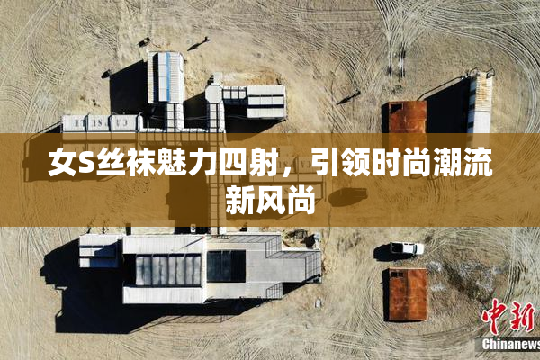 女S丝袜魅力四射，引领时尚潮流新风尚