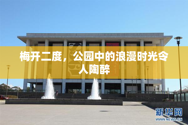 梅开二度，公园中的浪漫时光令人陶醉
