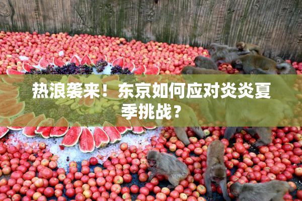 热浪袭来！东京如何应对炎炎夏季挑战？