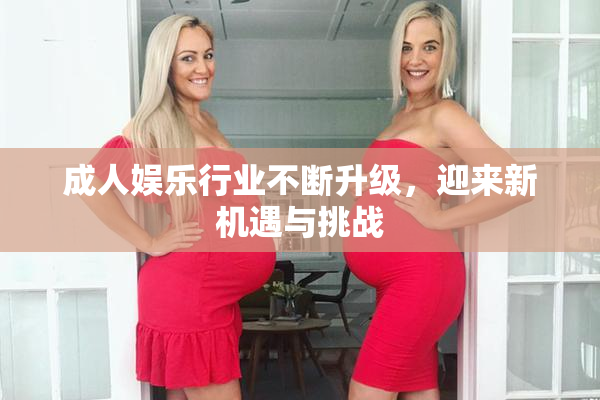 成人娱乐行业不断升级，迎来新机遇与挑战