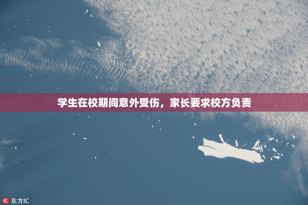 学生在校期间意外受伤，家长要求校方负责