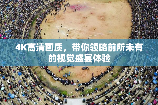 4K高清画质，带你领略前所未有的视觉盛宴体验