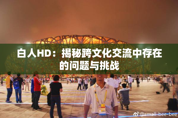 白人HD：揭秘跨文化交流中存在的问题与挑战