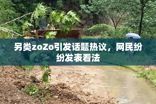 另类zoZo引发话题热议，网民纷纷发表看法