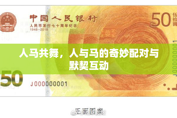 人马共舞，人与马的奇妙配对与默契互动