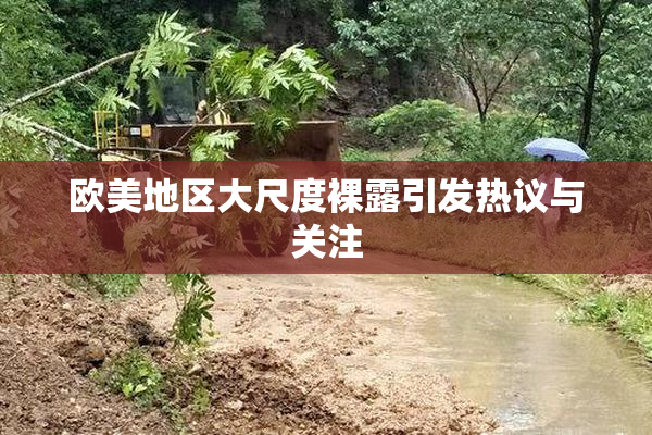 欧美地区大尺度裸露引发热议与关注