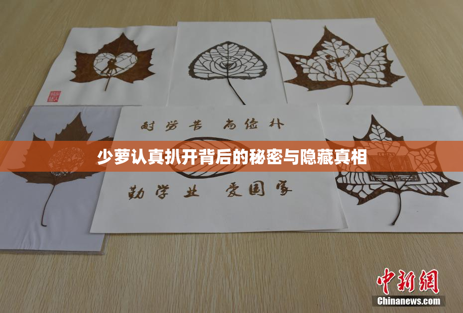 少萝认真扒开背后的秘密与隐藏真相
