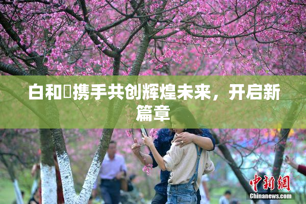 白和晄携手共创辉煌未来，开启新篇章