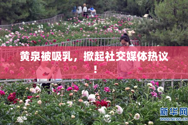 黄泉被吸乳，掀起社交媒体热议！