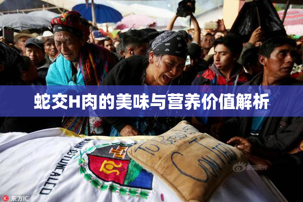 蛇交H肉的美味与营养价值解析