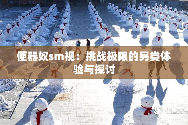 便器奴sm视：挑战极限的另类体验与探讨