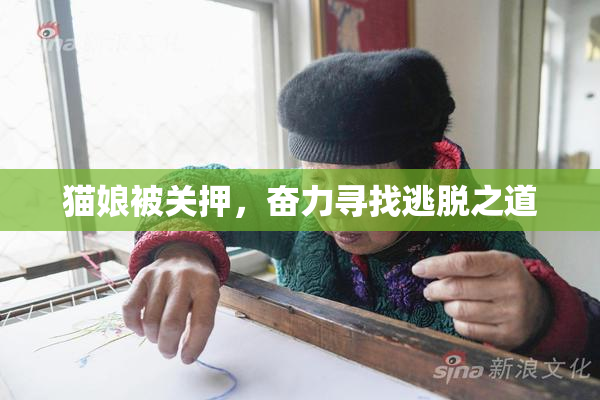 猫娘被关押，奋力寻找逃脱之道