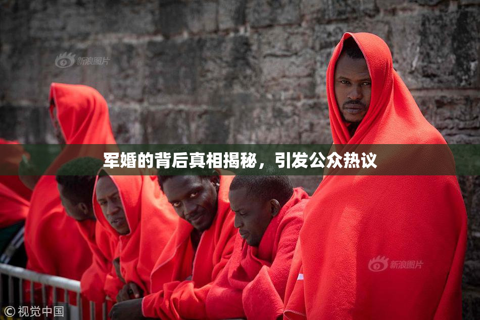 军婚的背后真相揭秘，引发公众热议