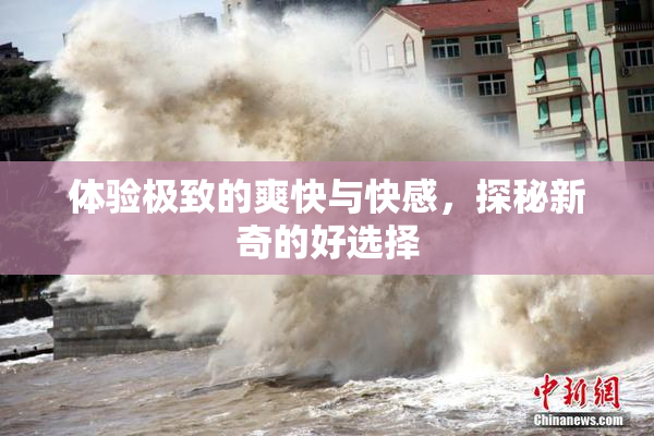 体验极致的爽快与快感，探秘新奇的好选择