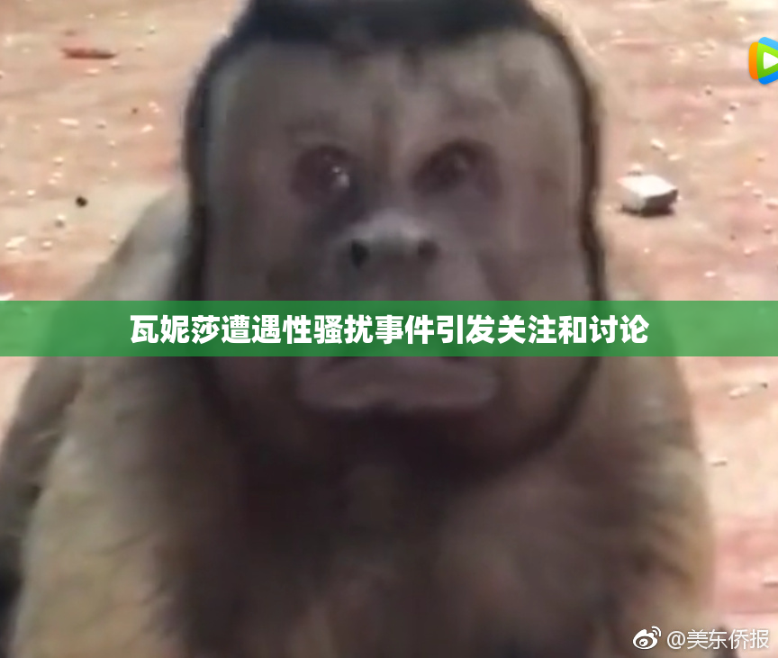 瓦妮莎遭遇性骚扰事件引发关注和讨论