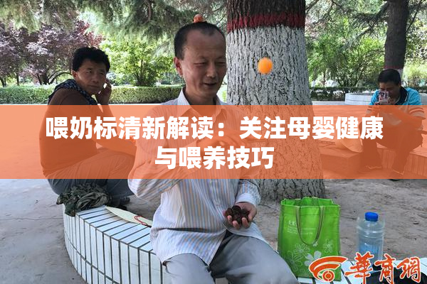 喂奶标清新解读：关注母婴健康与喂养技巧