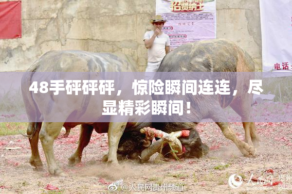 48手砰砰砰，惊险瞬间连连，尽显精彩瞬间！