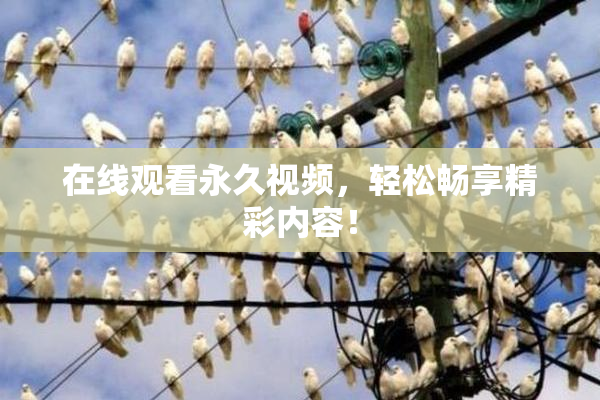 在线观看永久视频，轻松畅享精彩内容！