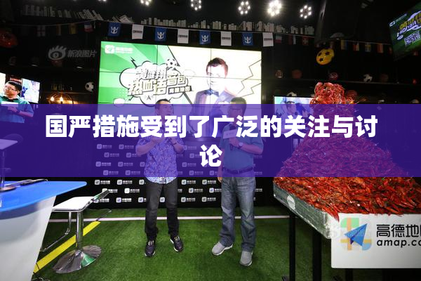 国严措施受到了广泛的关注与讨论