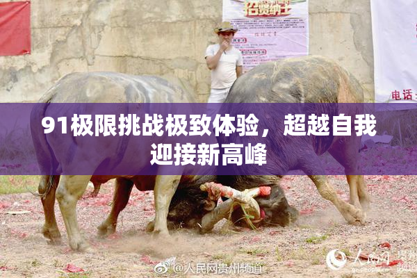 91极限挑战极致体验，超越自我迎接新高峰