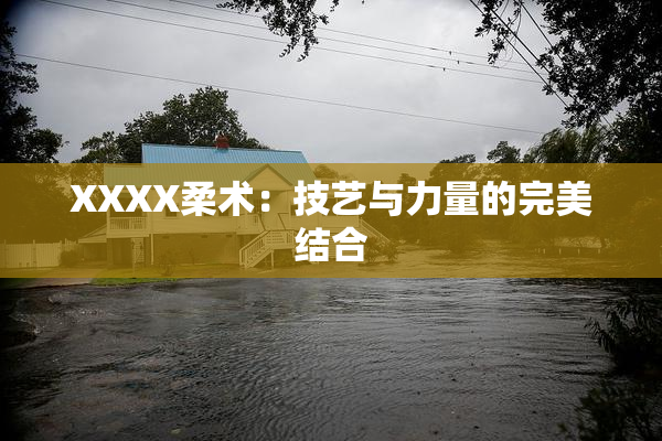XXXX柔术：技艺与力量的完美结合