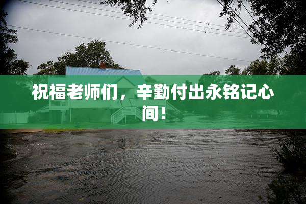 祝福老师们，辛勤付出永铭记心间！