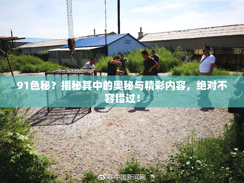 91色秘？揭秘其中的奥秘与精彩内容，绝对不容错过！