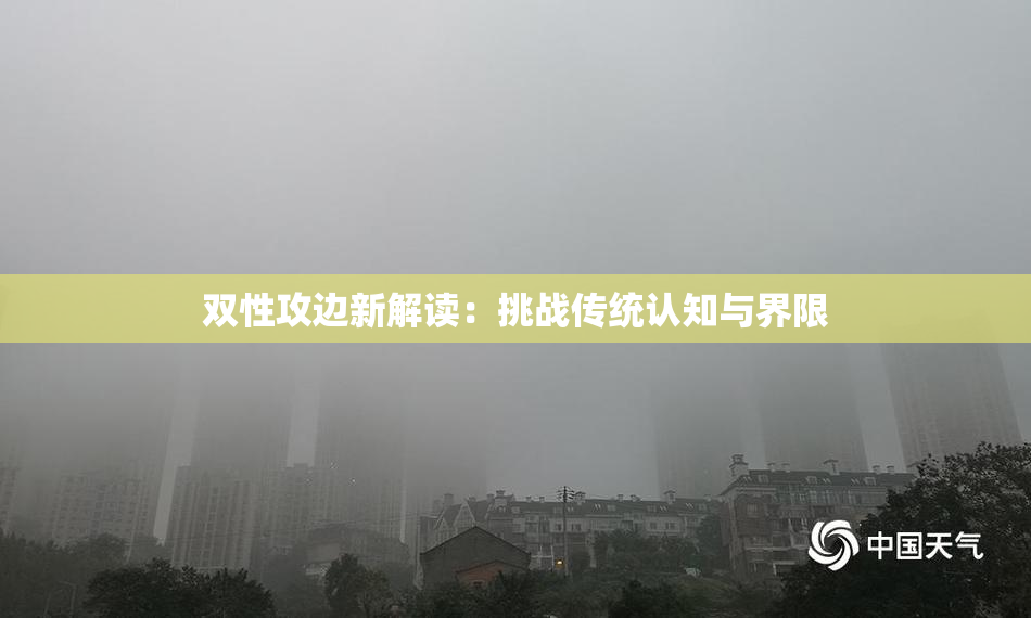 双性攻边新解读：挑战传统认知与界限