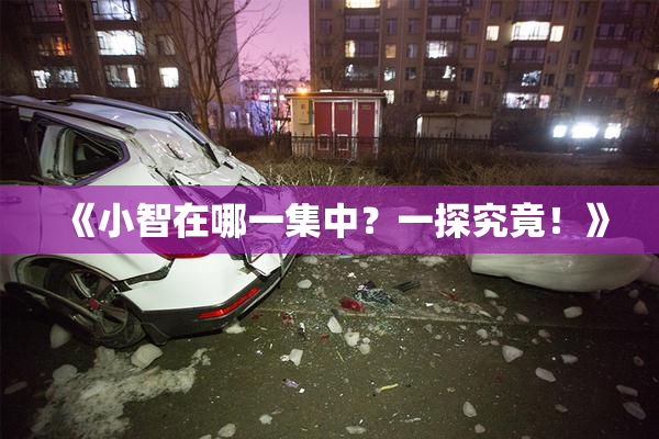 《小智在哪一集中？一探究竟！》