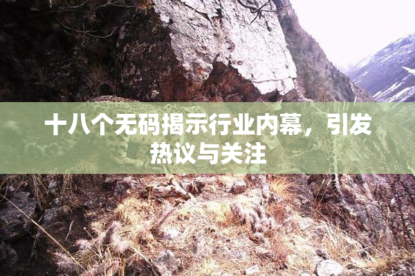 十八个无码揭示行业内幕，引发热议与关注