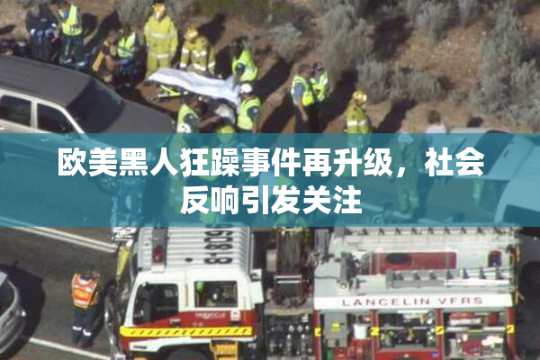 欧美黑人狂躁事件再升级，社会反响引发关注