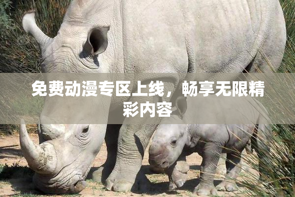 免费动漫专区上线，畅享无限精彩内容