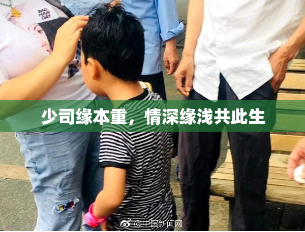 少司缘本重，情深缘浅共此生